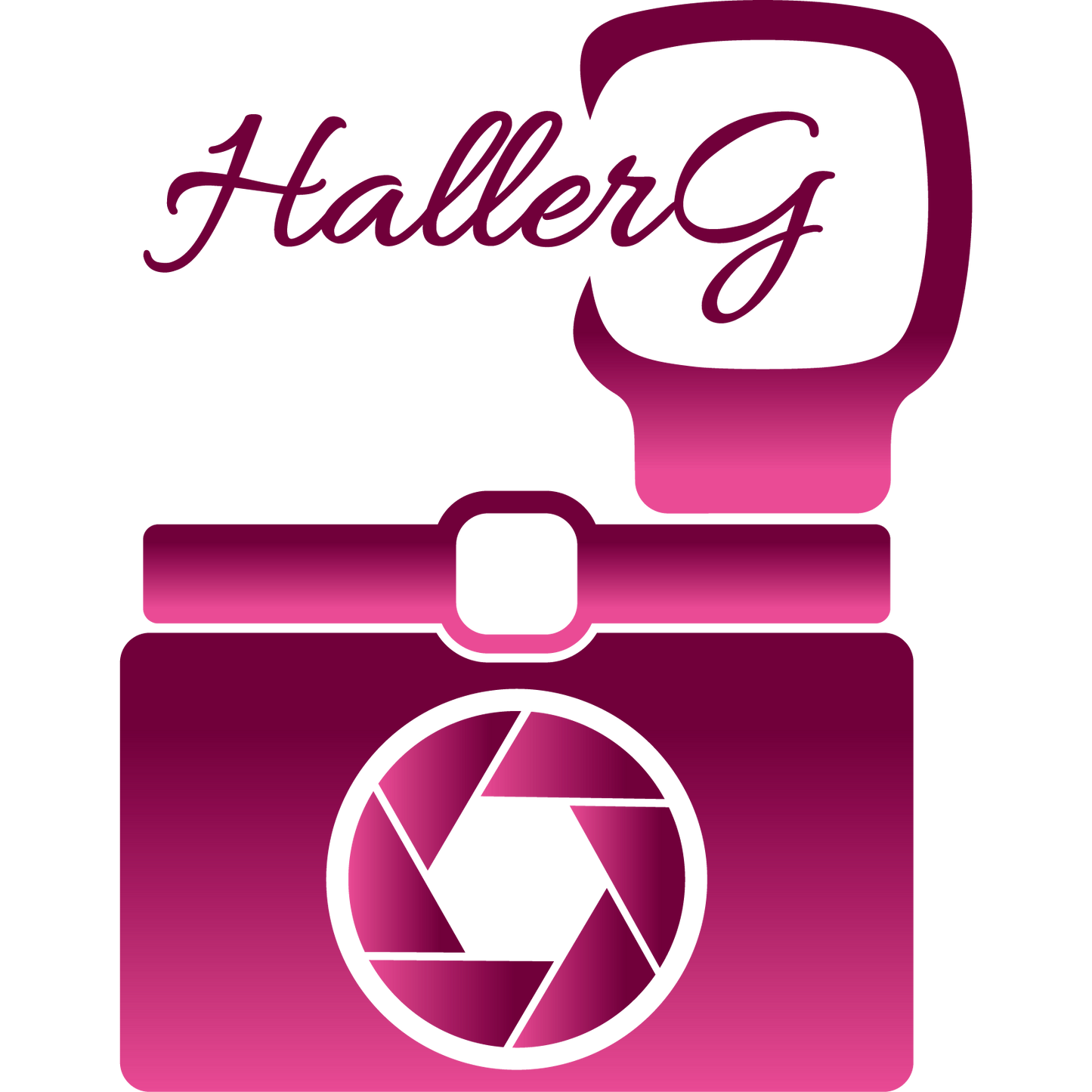 logo_hallerg_web3_ifh.png__PID:38a89945-1481-487d-98e3-7efa3823d519
