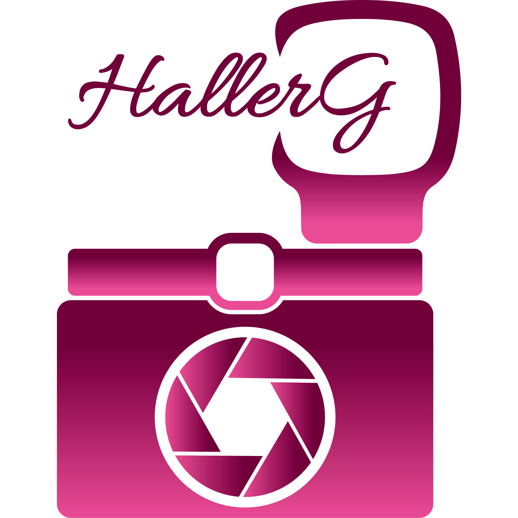 logo_hallerg_web3_ifh.png__PID:38a89945-1481-487d-98e3-7efa3823d519
