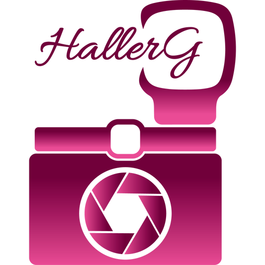 logo_hallerg_web3_ifh.png__PID:38a89945-1481-487d-98e3-7efa3823d519
