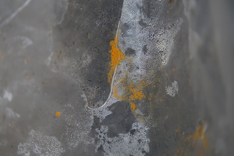 Untitled#01