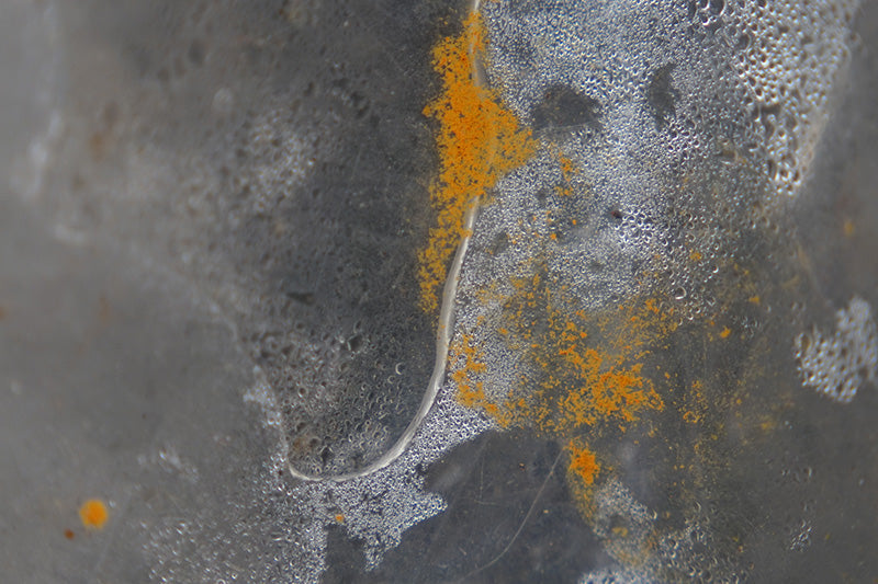 Untitled#01