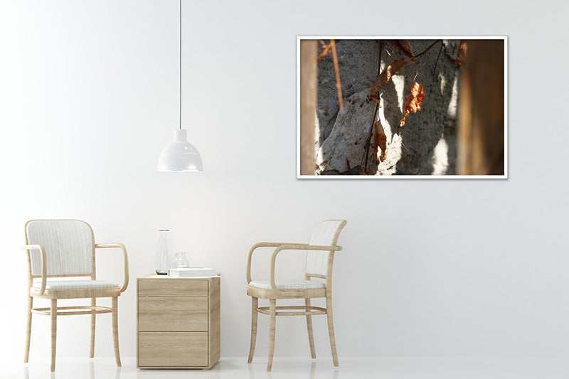 Untitled#12