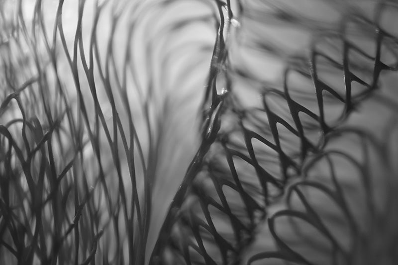 Untitled#33