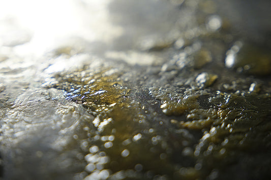 Untitled#34