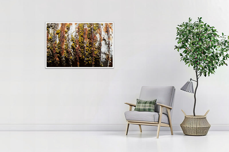 Untitled#38