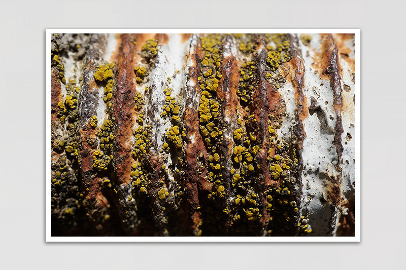 Untitled#38